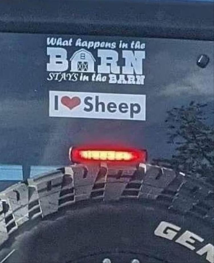 Click image for larger version

Name:	youre-weird-sheep.jpg
Views:	90
Size:	93.6 KB
ID:	4298588