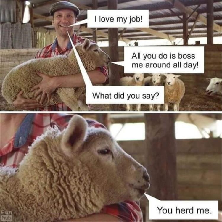 Click image for larger version

Name:	z-funny-35.jpg
Views:	79
Size:	109.7 KB
ID:	4299005