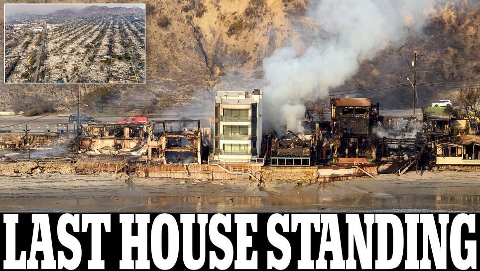 Click image for larger version

Name:	93952329-0-image-m-10_1736504969416.jpg
Views:	150
Size:	183.9 KB
ID:	4302906