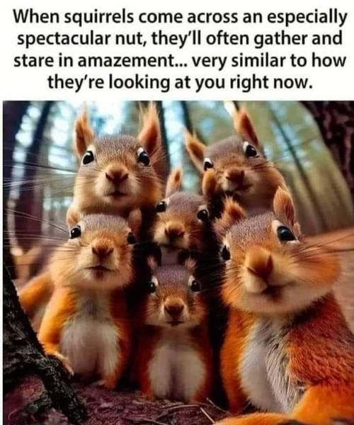 Click image for larger version

Name:	73876-00437dd0-0821-425f-81e8-47537ba98bbd.jpg
Views:	117
Size:	77.3 KB
ID:	4303349