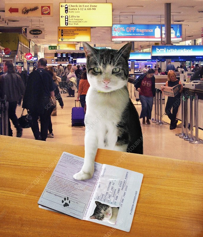 Click image for larger version

Name:	Z9340444-Pet_passport.jpg
Views:	112
Size:	183.9 KB
ID:	4320466
